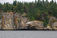 Just West of Dodd Narrows the shoerline of Gabriola Island is interesting and unusual.